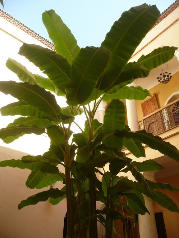 Riad Ker Saada 마라케시 외부 사진
